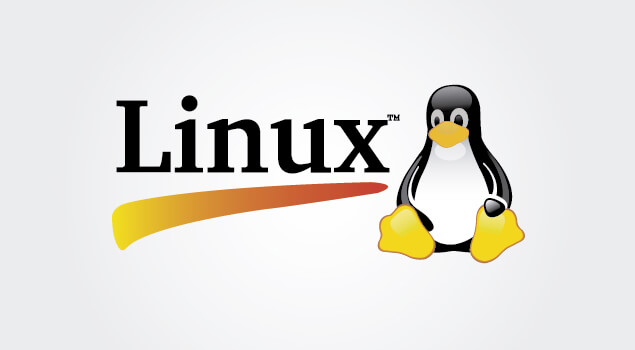 8. Linux Yaz Kampı Bolu'da Düzenlenecek