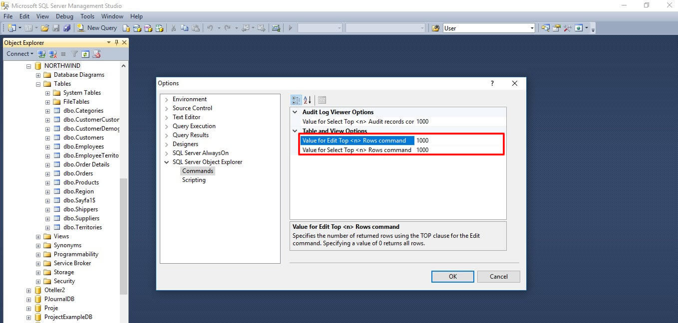 SQL Server Edit Top 200 Rows Satır Sayısını Değiştirme 3. Adım