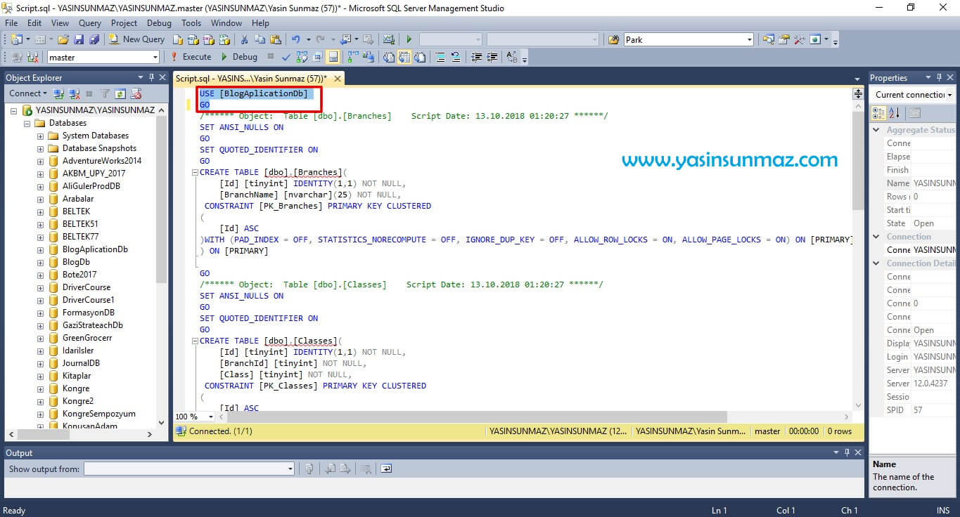 SQL Server Script Alma ve Çalıştırma 12. Adım