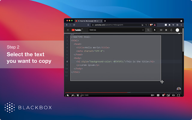 Blackbox - Select. Copy. Paste & Search